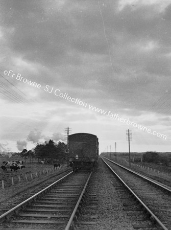 CONVERGING TRACKS REDEDING TRAIN